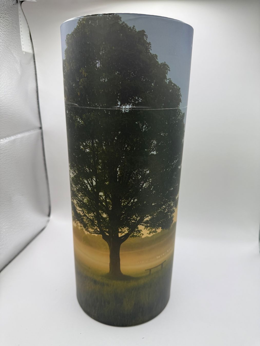Vasi & Recipienti: Streuurne aus Karton – Nuovo e nell'imballaggio originale da Hünenberg venduto da nicolay27