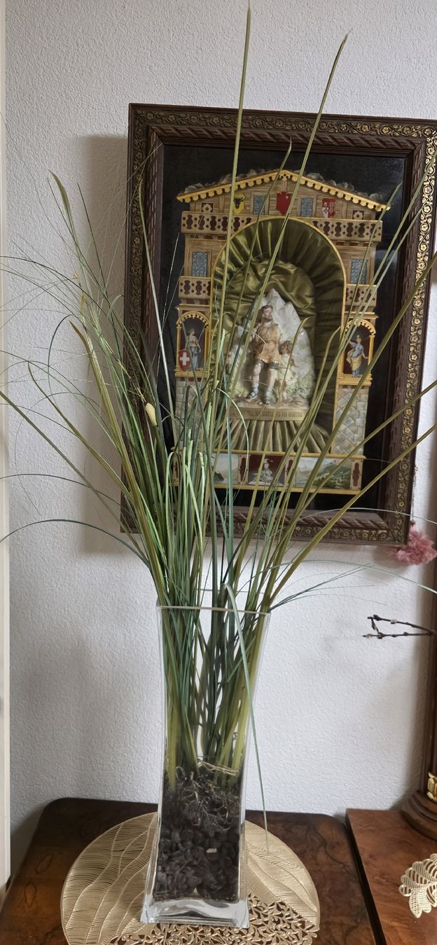 Tutte le decorazioni: Glasvase, Dekosteine, Kunstblumen – Usato da Kaufdorf venduto da Nati-Nati