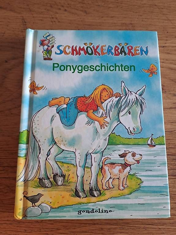 Libri: Kinderlesebuch  – Usato da Liestal venduto da daspi01