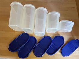 5 Tuppervisionen, 3x Gr.3, 1xGr.2, 1x Gr. 1, blaue Deckel