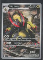 POKÉMON / Haxorus / Black Bolt / Illustration 🇺🇸