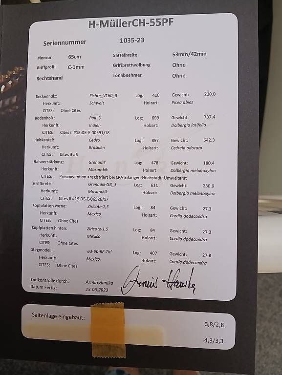 Strumenti musicali: Hanika Gitarre – Usato da Münsingen venduto da jan_nnf2 4
