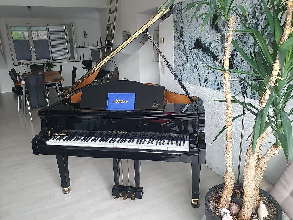 Blüthner Instruments de musique: Blüthner Flügel Modell 10-166 – D'occasion à Grenchen par piuser 2