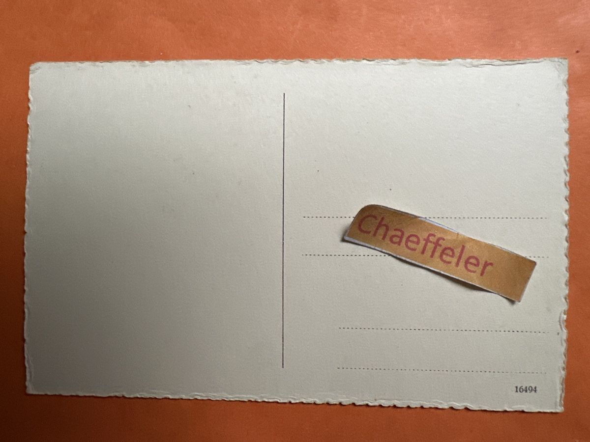Cartoline postali: 106  Rapperswil Quaianlage  – Usato da Zürich venduto da Chaeffeler 1