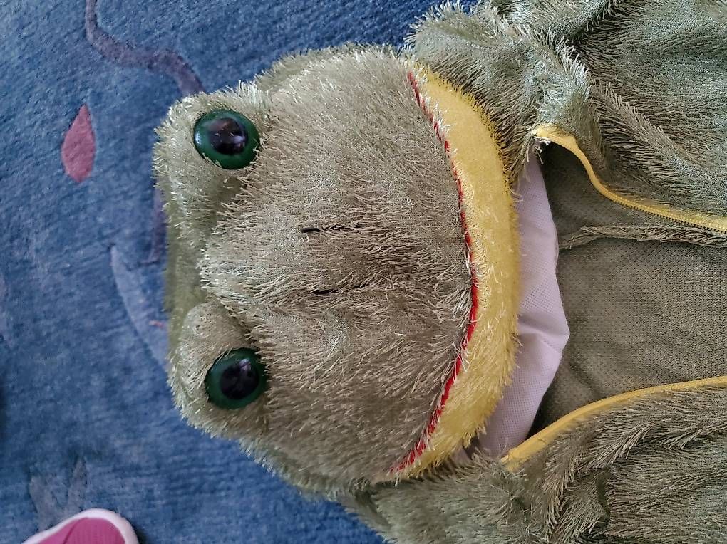 Costumi: Karneval Frosch Kostüm Einheitsgrösse – Usato da Wattenwil venduto da ste_tvc7 1
