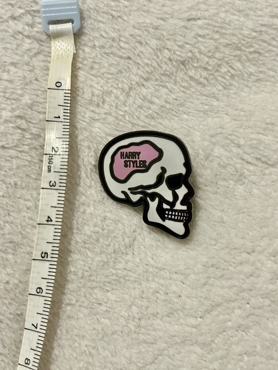 Placchette & Badge: Pin Schädel mit Harry Styles gefüllt – Usato da Uster venduto da xBeccax 1