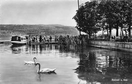 Beinwil am See AG Schiff Hallwilersee