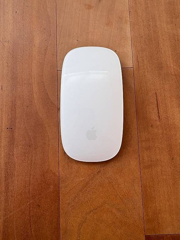 Apple Mouse: Apple Magic Mouse USB-C – Usato da Lenzburg venduto da fyl_v7sp