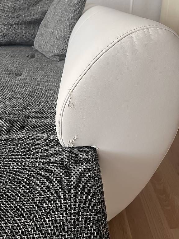Sofas: Sofa – Gebraucht aus Beringen von inakressebuch 2