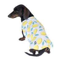 Vêtement pour chien ou chat Motif citrons