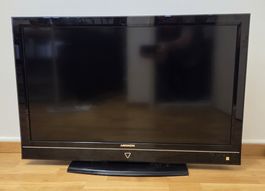 Fernseher 42" Zoll 107cm