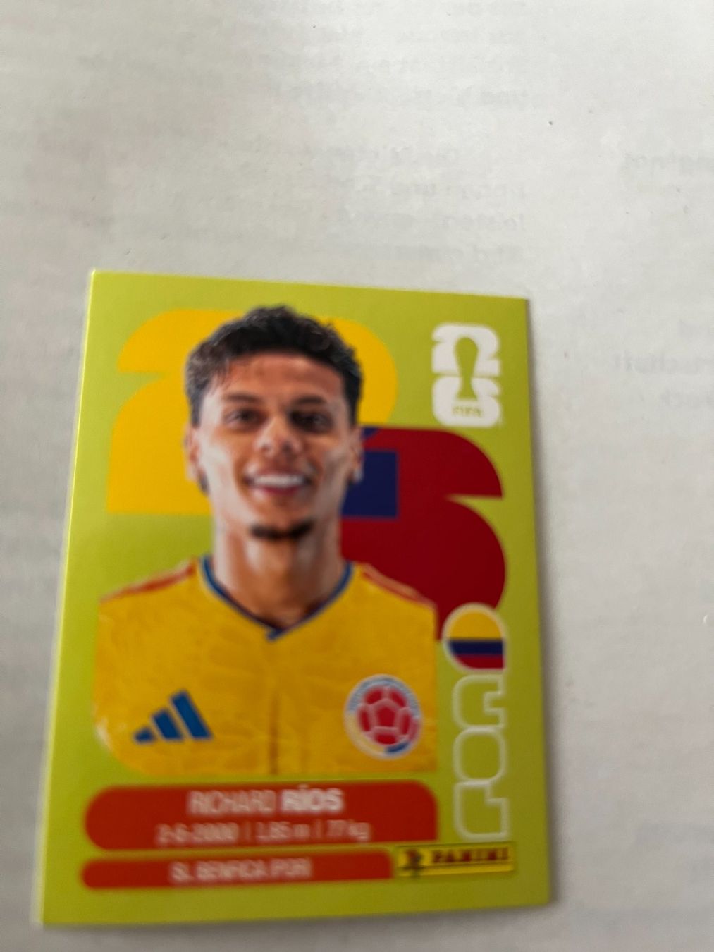 Panini Carte collezionabili: Panini World Cup 2026 – Usato da Winterthur venduto da fla_hwg8