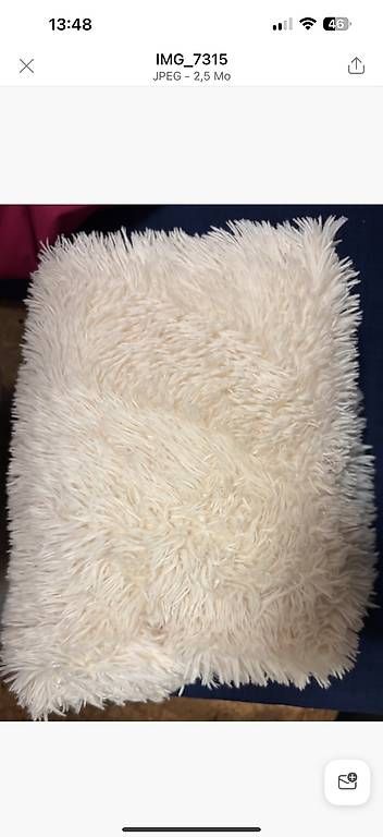 Poltrone: Pouf Fatboy original – Usato da Massagno venduto da anickc 2