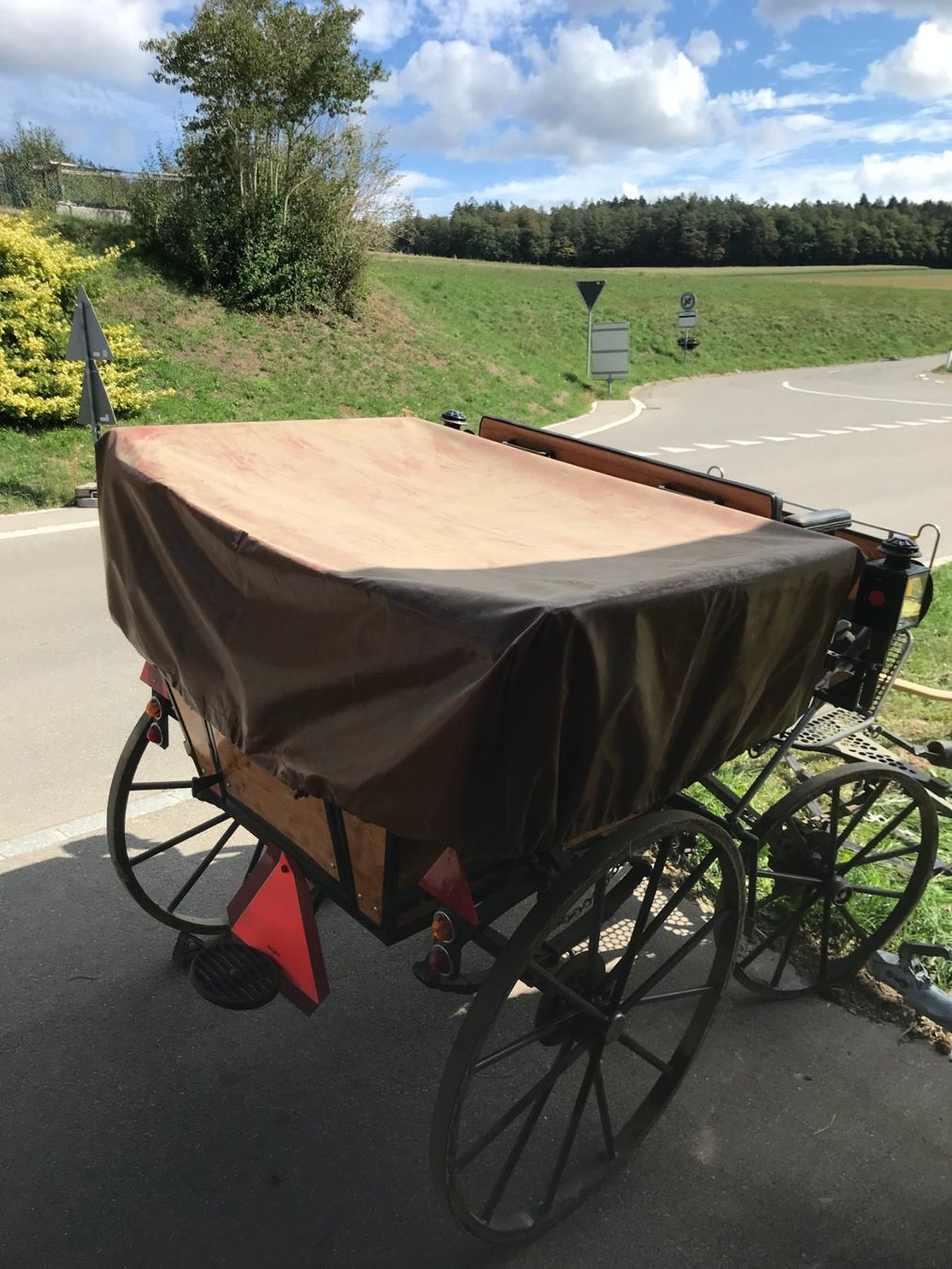Carrozze: Pferdekutsche Wagonette – Usato da Niederhasli venduto da Fribi_bea 4