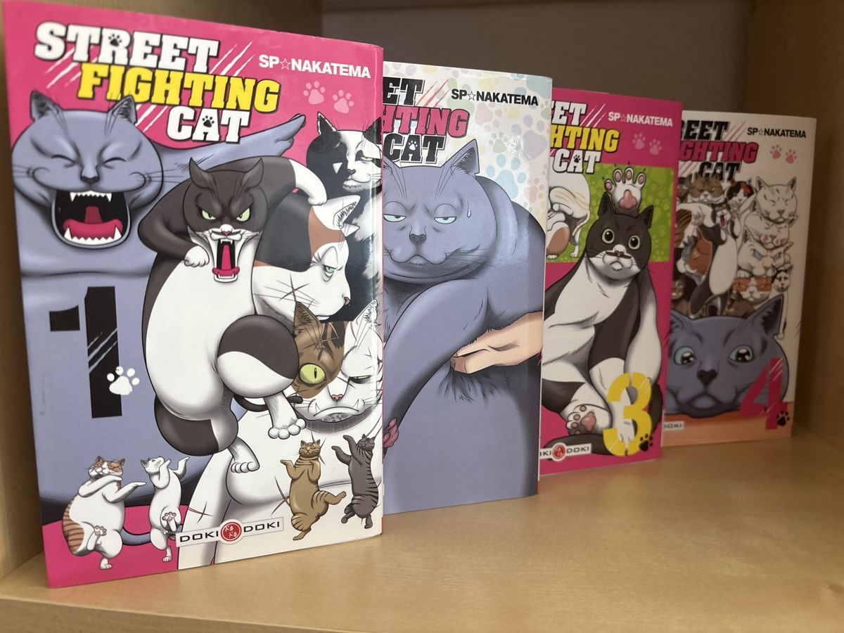 Comics: Manga – Neu und originalverpackt aus Estavayer-le-Lac von aud_vxr5 2