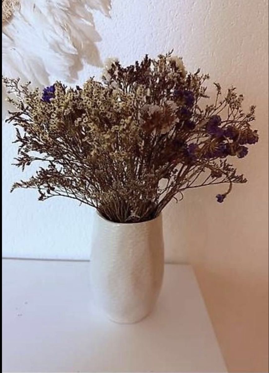 Vasi & Recipienti: Vase mit Inhalt – Nuovo (secondo la descrizione) da Gossau SG venduto da cuk_fyc6