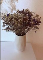 Vase mit Inhalt