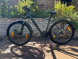 Crosswave Rebel 27.5 Zoll