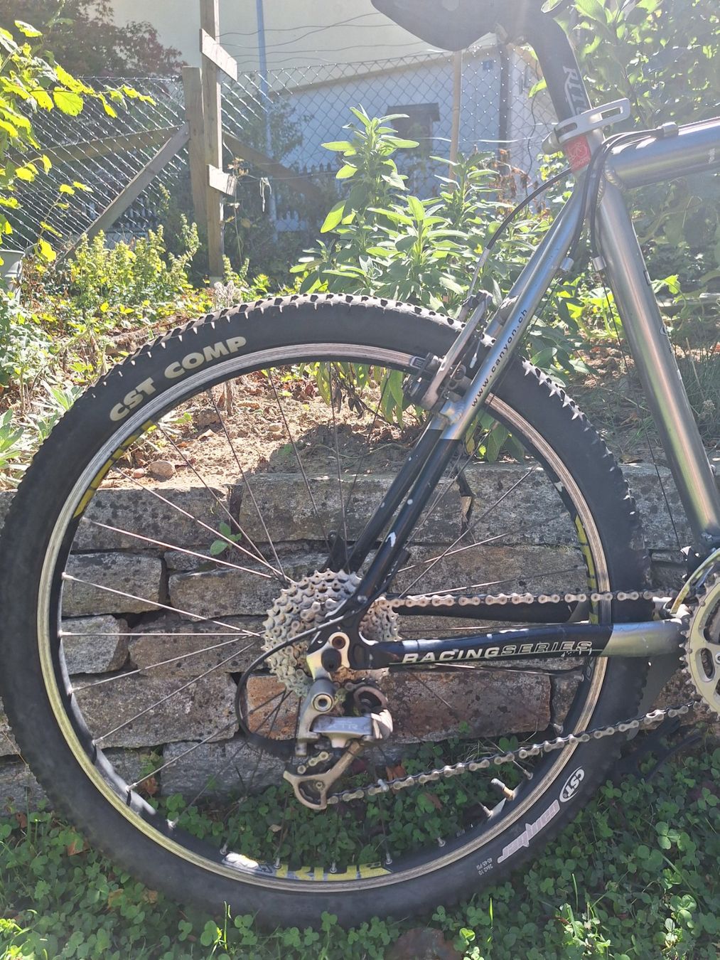 Canyon Biciclette: Mountainbike Canyon – Usato da Neuenhof venduto da melwood 5