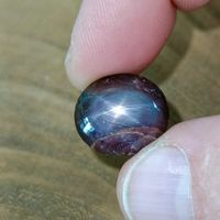 29.3 Karat Stern Rubin Star Ruby UNBEHANDELT Sri Lanka Cab