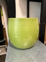Plant Pot l Blumentopf