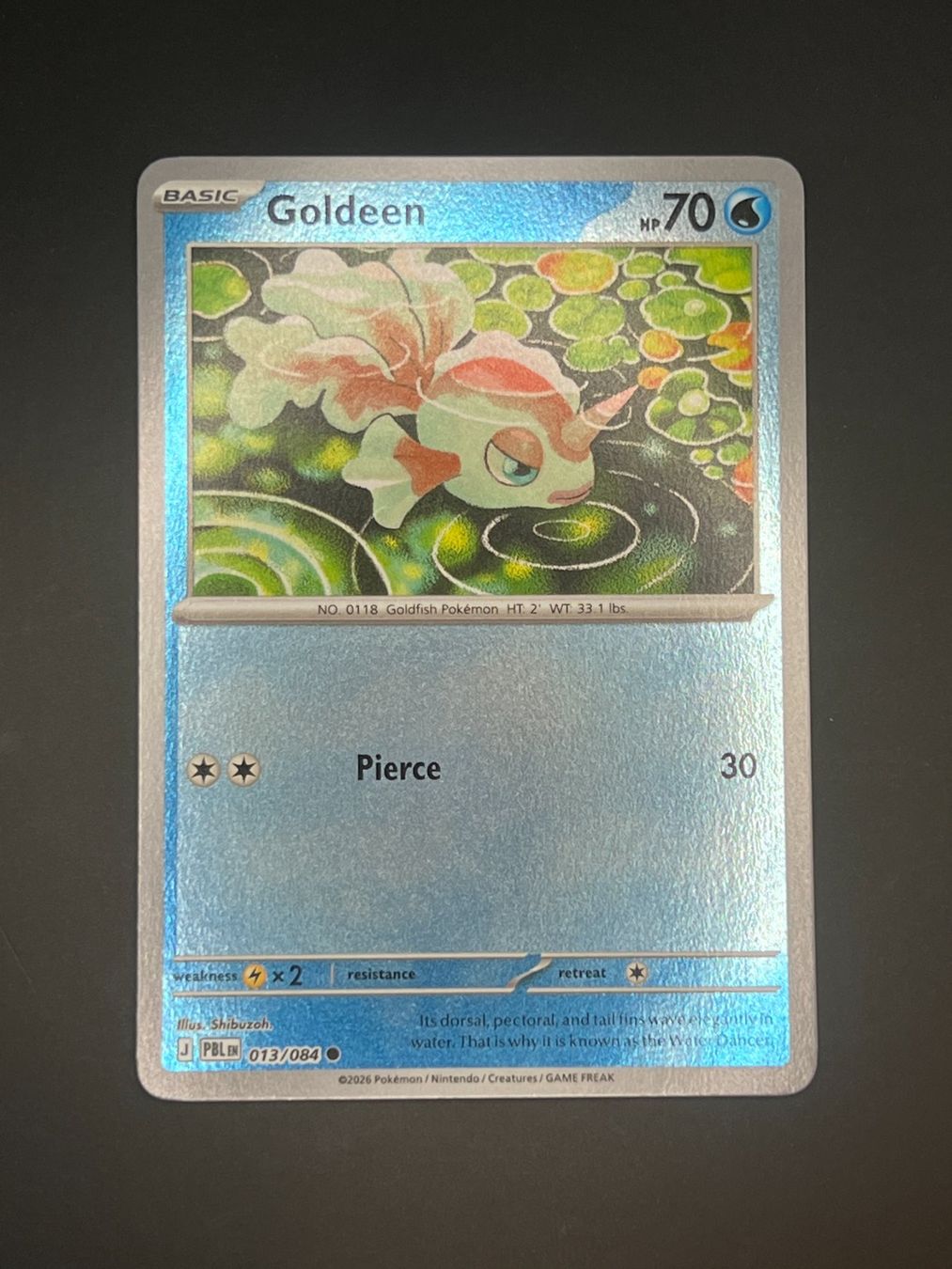 Pokémon Carte collezionabili: Pokemon Goldeen 013/084  Reverse PBL EN – Usato da Winterthur venduto da WintiCollect