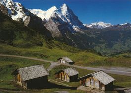 Grindelwald gel. 1991
