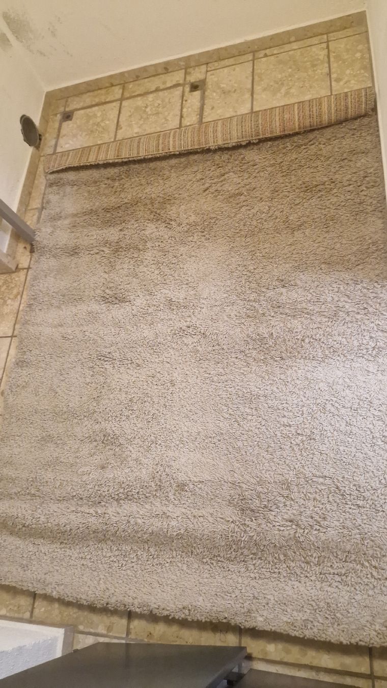 Ikea Teppiche: Hochflor Teppich beige 190x130cm – Gebraucht aus Zürich von Debbski91