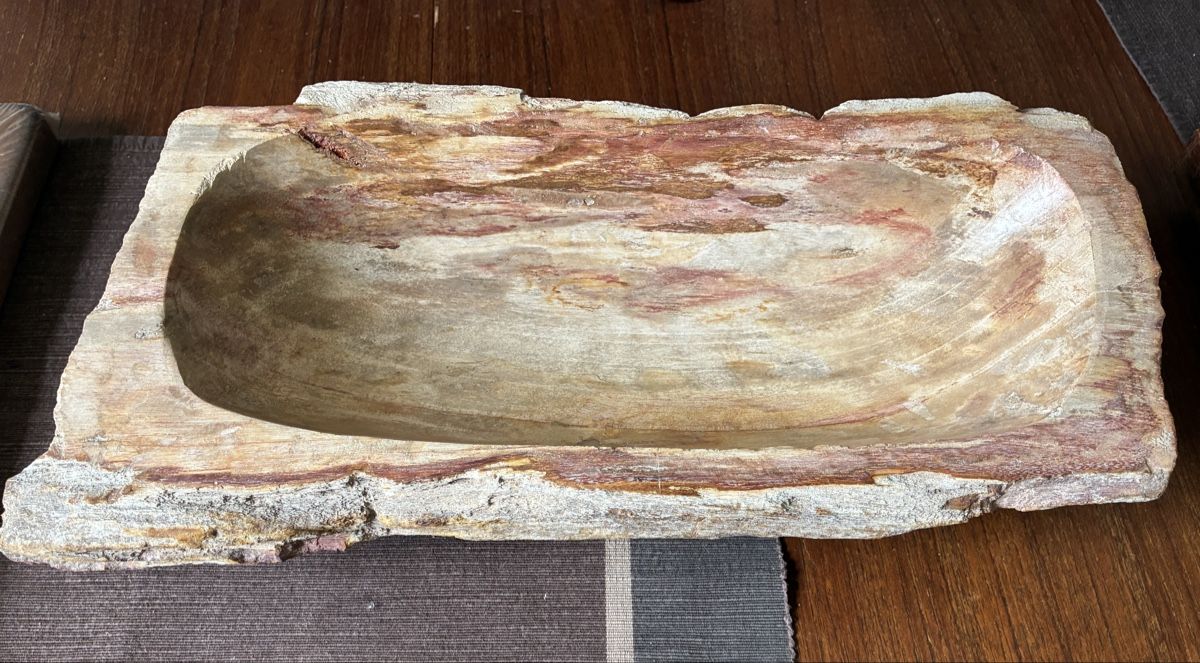 Fossili: Bois fossilisé – Usato da Lausanne venduto da JTRMcom