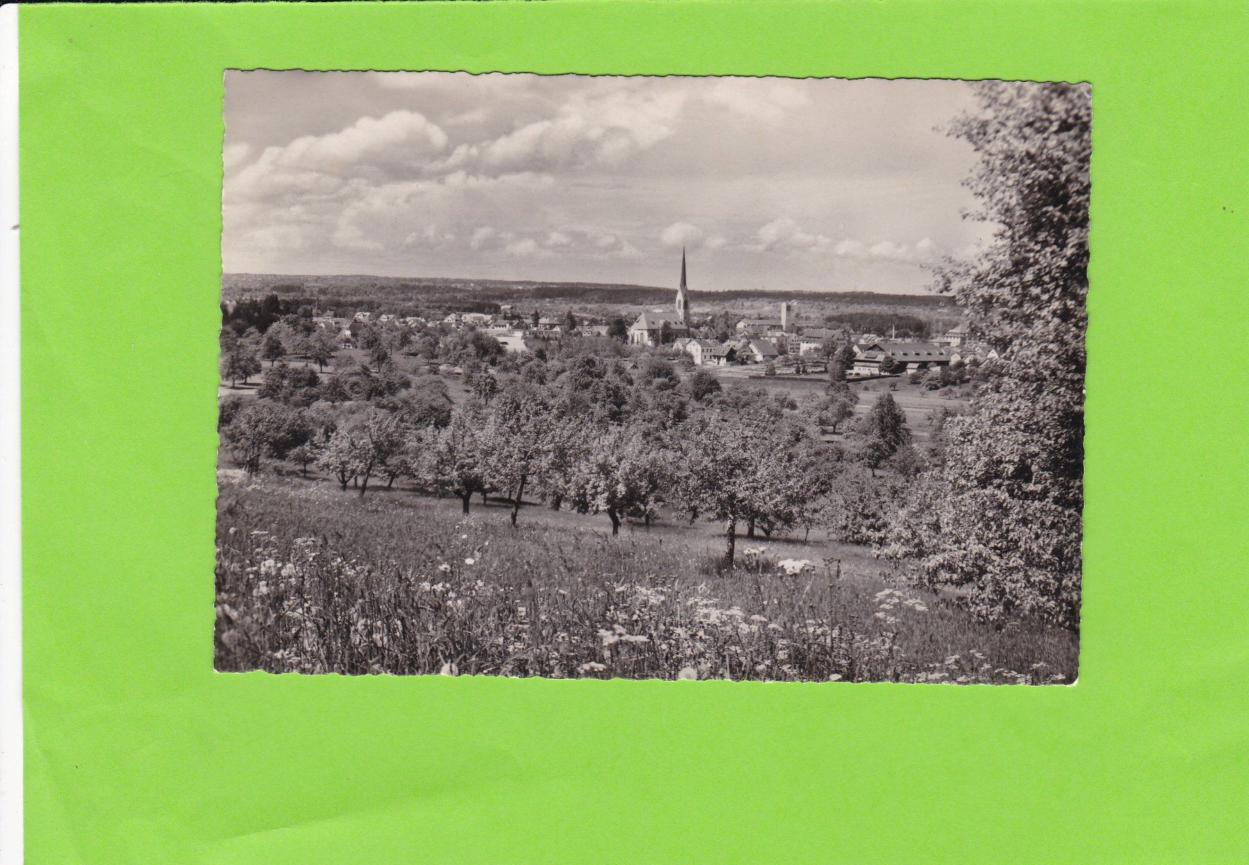 Cartes postales: Amriswil-TG – D'occasion à St. Peterzell par neckertal
