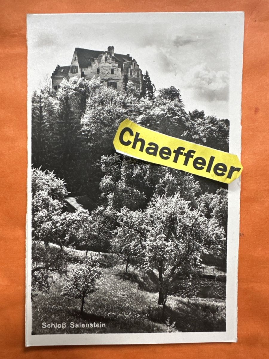 Cartoline postali: Alte Ansichtskarte Schloss Salenstein 1930 – Usato da Zürich venduto da Chaeffeler