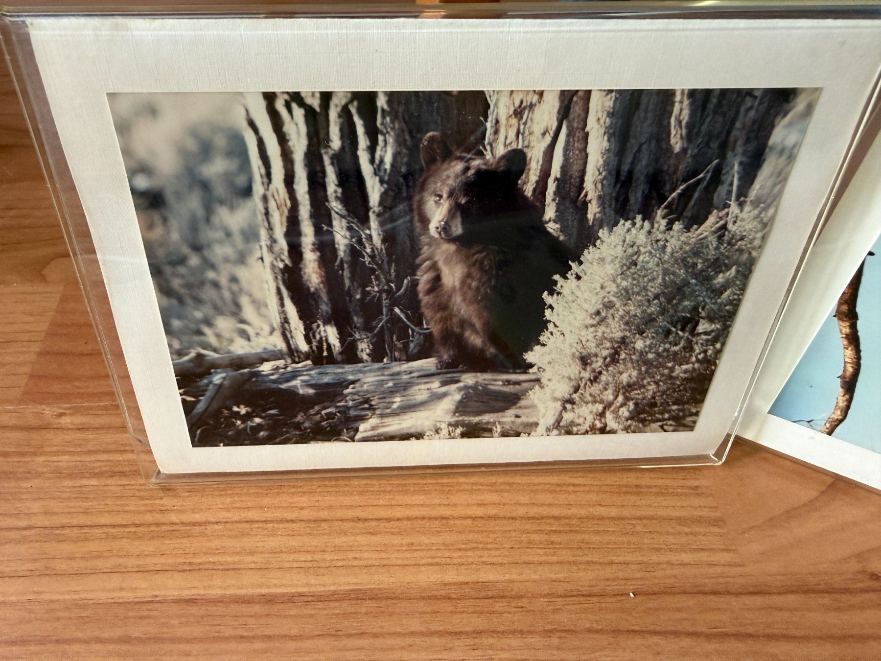 Bilderrahmen: Fotorahmen Acryl – Gebraucht aus Wängi von squirrelwoman 1