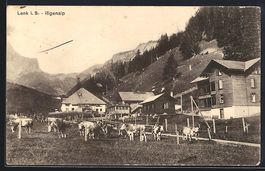 AK Lenk i. S., Ifigenalp