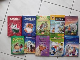 Grosses Kinderbuch-Paket: Pferde, Ponys, Zauber, Winter!
