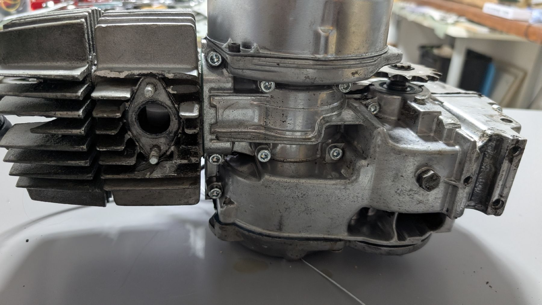 Puch Motori: Puch maxi Motor  – Usato da Winterthur venduto da stann66 5