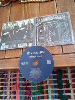 divine sin- thirteen souls 