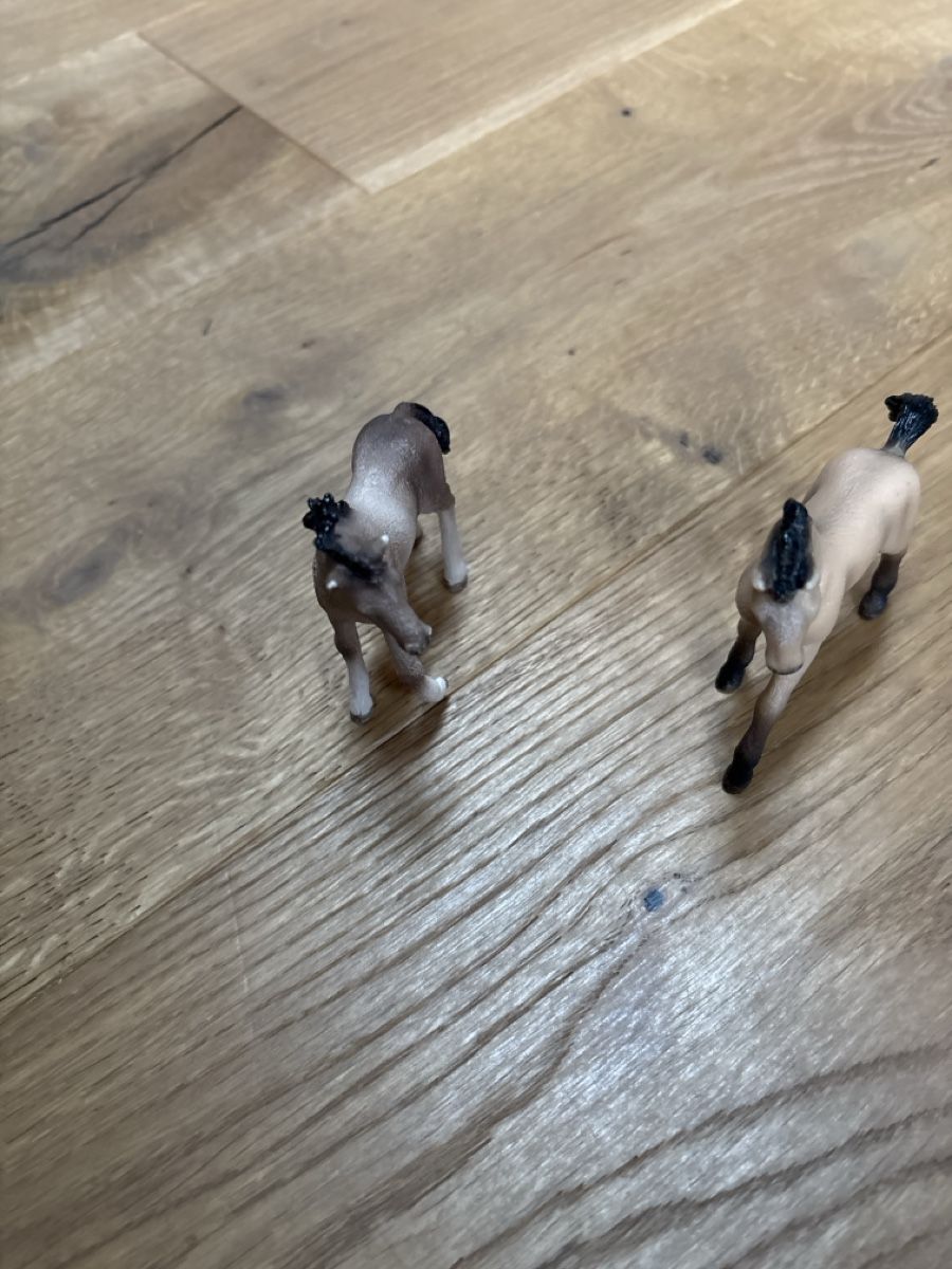 Schleich Giocattoli: Schleich Fohlen (14) – Usato da Meiringen venduto da enilorac2000