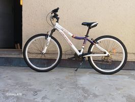 California Corona Mountainbike 24 Zoll – Shimano 18 Gang