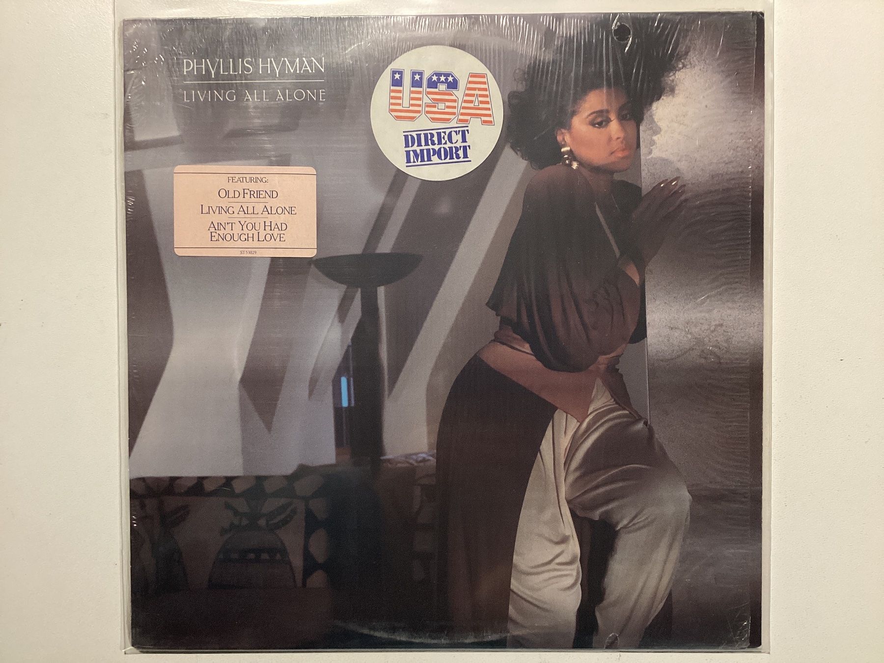 Dischi in vinile: Phyllis Hyman LP - Living All Alone – Usato da Gutenswil venduto da Hamzian