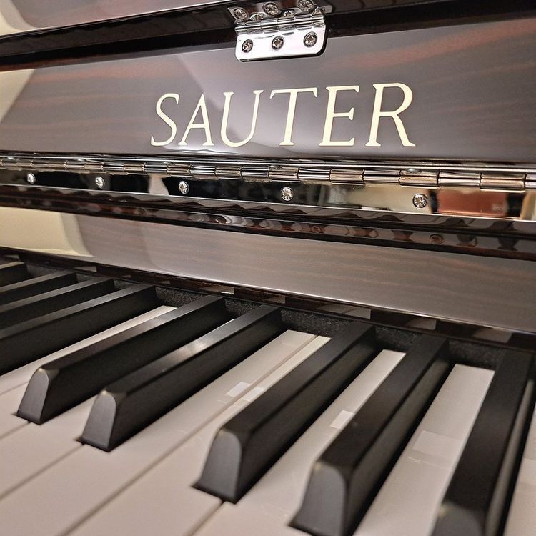 Strumenti musicali: Pure Basic 122 Peter-Maly-Edition - Ausstellungsmodell – Nuovo (secondo la descrizione) da Ittigen venduto da KrompholzMusik 1