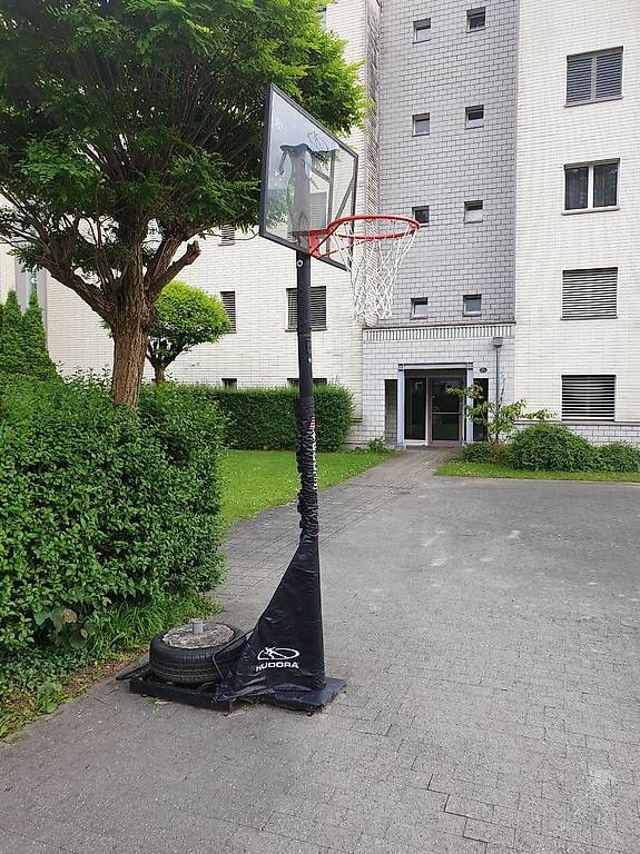 Canestri da basket: Basketball Korb verstellbar – Usato da Kriens venduto da akazy 3