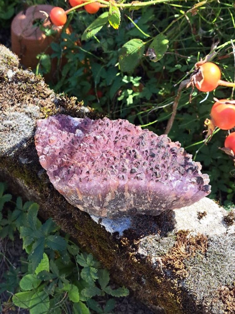 Minerali & Pietre curative: Spanischer Amethyst – Nuovo (secondo la descrizione) da Richterswil venduto da Viorella 2