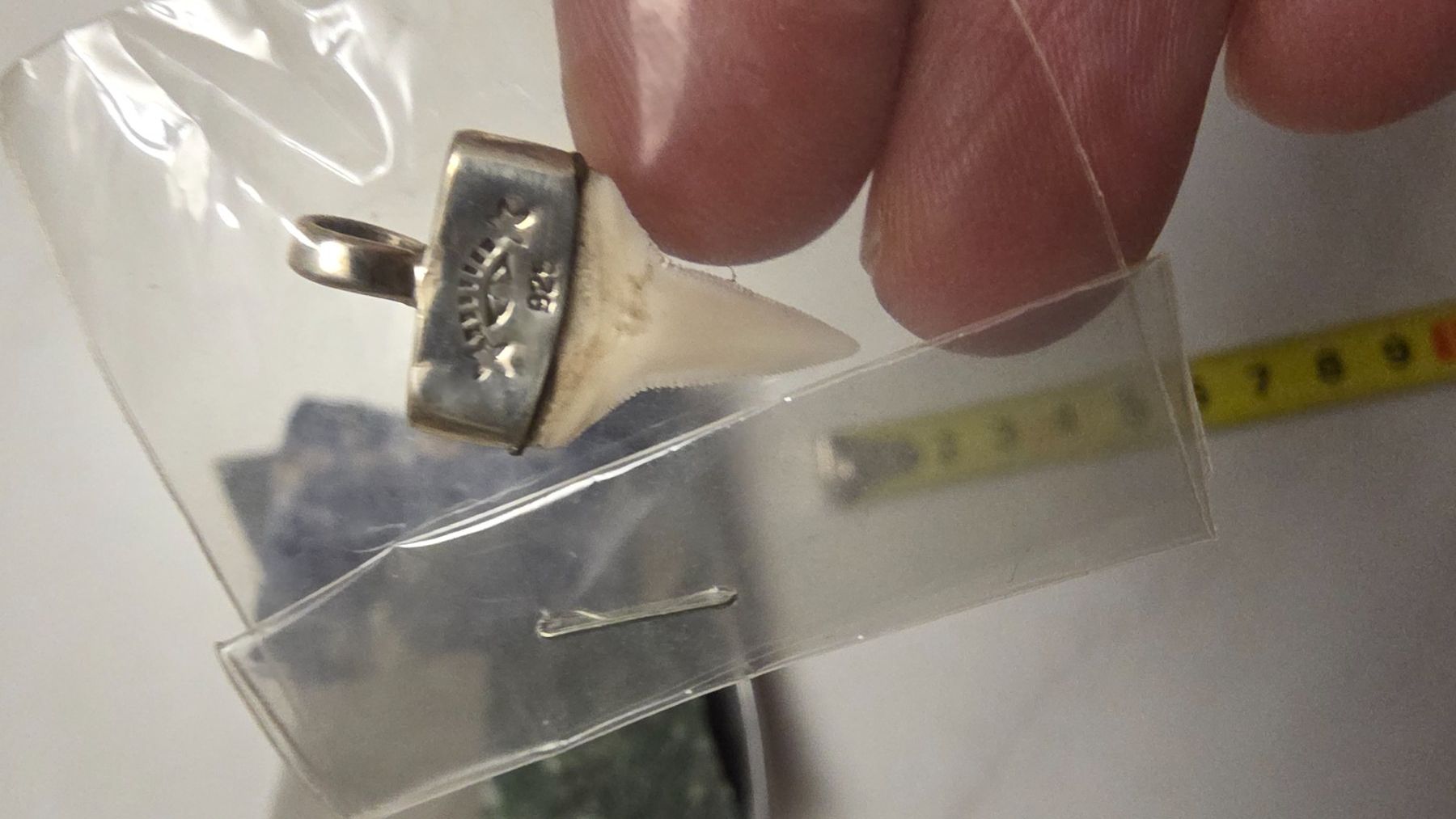 Ciondoli: Echter Haifischzahn in Silber gefasst – Nuovo e nell'imballaggio originale da Fislisbach venduto da Eye-Arts 5