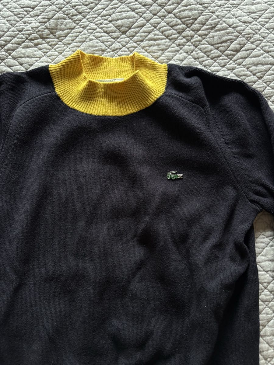 Lacoste Maglioni & Felpe: Pull Lacoste Live  – Usato da Lausanne venduto da shabnam.t