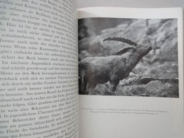 Libri: Herrliche Alpentiere – Usato da Chur venduto da omonia 6