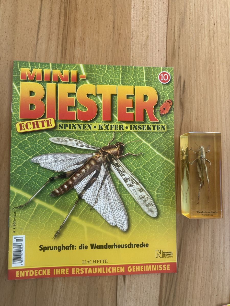 Riviste & Magazine: Mini Biester Heft und Block Nr. 10 – Usato da Grenchen venduto da Bastet007