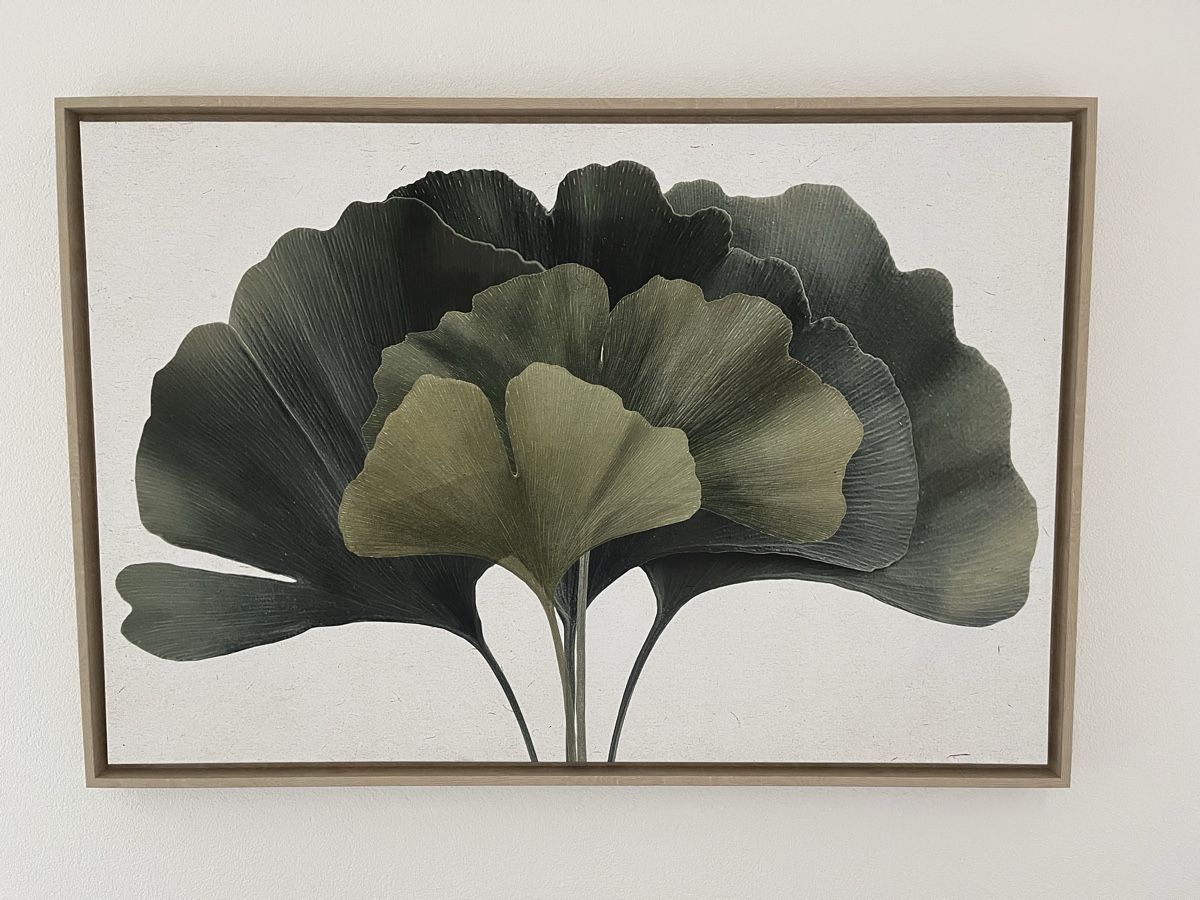 Foto & Immagini: Ginko Bild auf Leinwand – Nuovo (secondo la descrizione) da Wermatswil venduto da -secondchance- 1