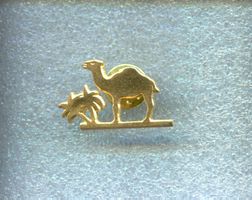 CAMEL
