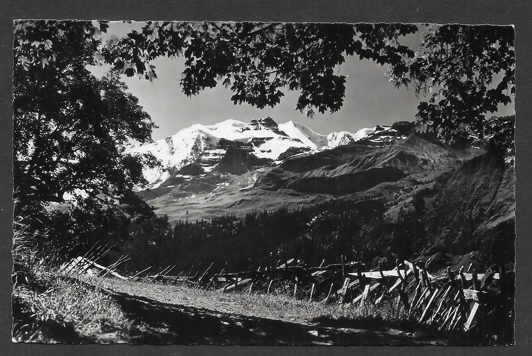Cartes postales: Kiental Alpgasse mit Blümlisalpgruppe – D'occasion à Olten par clotaldi