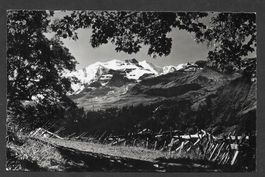 Kiental Alpgasse mit Blümlisalpgruppe
